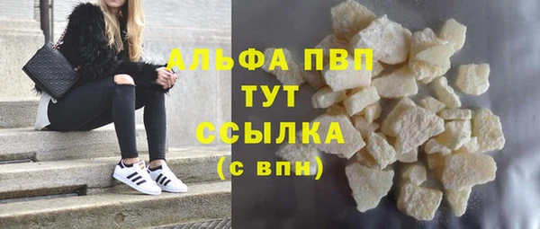 прущий лед Алзамай