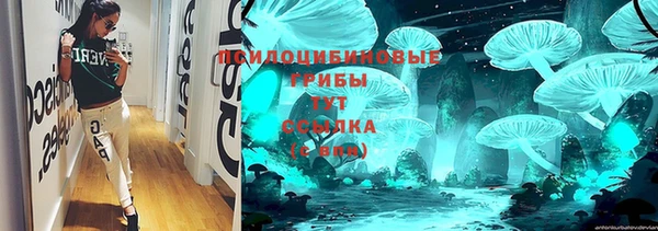 ешки Алексеевка