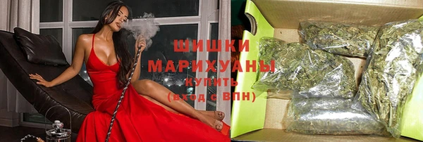 прущий лед Алзамай