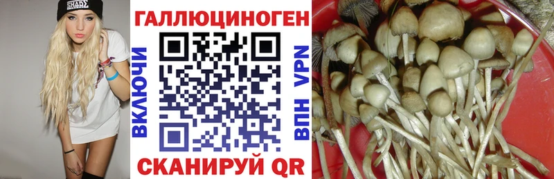 Галлюциногенные грибы ЛСД  закладка  Новосиль 